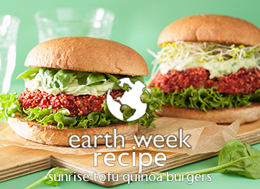 EARTH WEEK: Sunrise Soya Tofu Quinoa Burgers